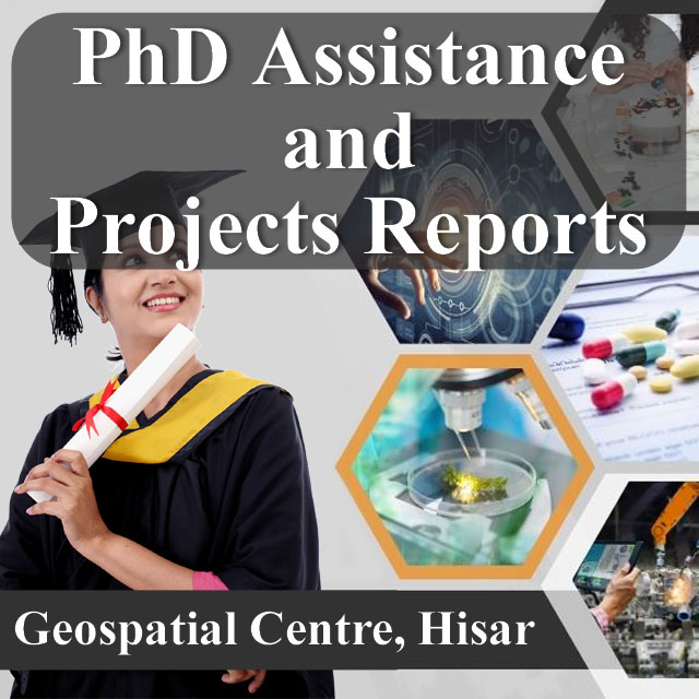 PhD Assistance